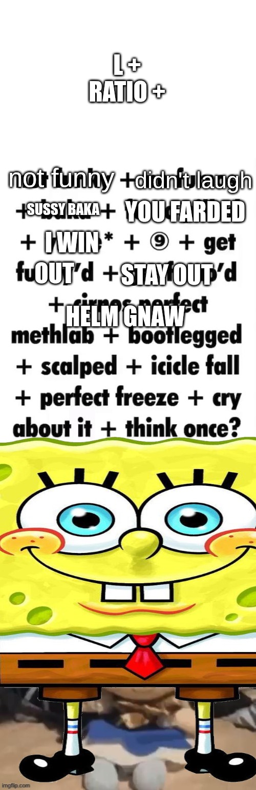 cirno ratio | not funny didn't laugh SUSSY BAKA YOU FARDED I WIN OUT STAY OUT HELM GNAW L + RATIO + | image tagged in cirno ratio | made w/ Imgflip meme maker