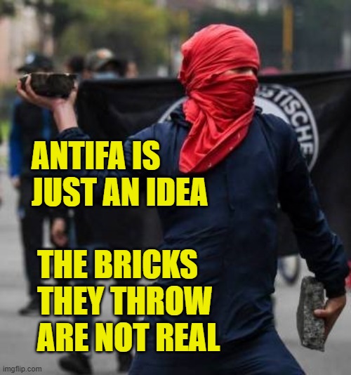 Antifa bricks don't hurt | ANTIFA IS
JUST AN IDEA; THE BRICKS
THEY THROW
ARE NOT REAL | image tagged in antifa | made w/ Imgflip meme maker