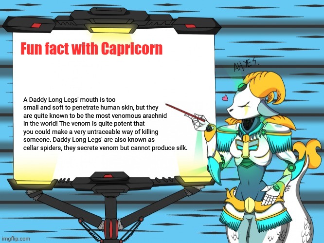 Fun fact with Capricorn | Fun fact with Capricorn; A Daddy Long Legs' mouth is too small and soft to penetrate human skin, but they are quite known to be the most venomous arachnid in the world! The venom is quite potent that you could make a very untraceable way of killing someone. Daddy Long Legs' are also known as cellar spiders, they secrete venom but cannot produce silk. | image tagged in fun fact with capricorn | made w/ Imgflip meme maker