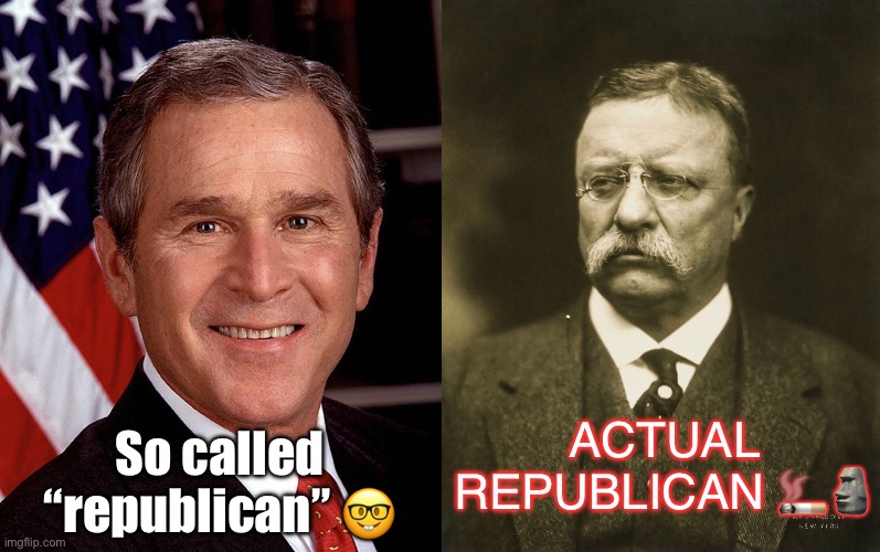 Today’s ””republicans”” aren’t republicans | So called “republican” 🤓; ACTUAL REPUBLICAN 🚬🗿 | image tagged in george w bush,teddy roosevelt,republicans,republican,history,america | made w/ Imgflip meme maker