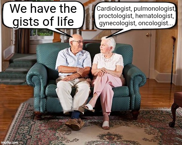 old married couple | Cardiologist, pulmonologist, proctologist, hematologist, gynecologist, oncologist... We have the gists of life | image tagged in old married couple | made w/ Imgflip meme maker