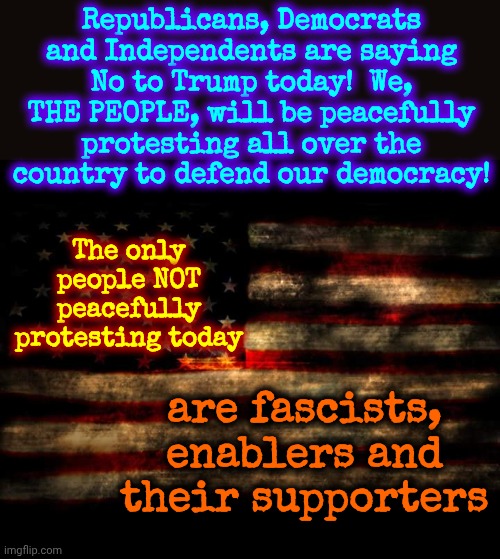 REPUBLICANS, DEMOCRATS AND INDEPENDENTS ARE ALL SAYING NO TO TRUMP AND HIS FASCIST REGIME TODAY! | Republicans, Democrats and Independents are saying No to Trump today!  We, THE PEOPLE, will be peacefully protesting all over the country to defend our democracy! The only people NOT peacefully protesting today; are fascists, enablers and their supporters | image tagged in usa flag,peaceful protests,we the people,imagine all the people,love wins,memes | made w/ Imgflip meme maker