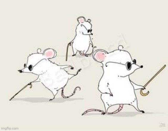 Blind mice | image tagged in blind mice | made w/ Imgflip meme maker