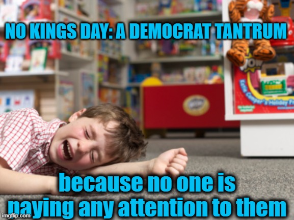 No Kings day: Just another Democrat temper tantrum | NO KINGS DAY: A DEMOCRAT TANTRUM; because no one is paying any attention to them | image tagged in temper tantrums,democrats | made w/ Imgflip meme maker