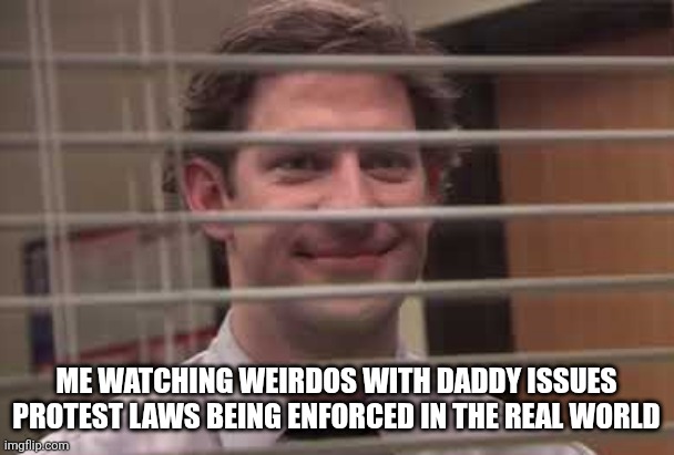 no daddies, i mean, no kings! | ME WATCHING WEIRDOS WITH DADDY ISSUES PROTEST LAWS BEING ENFORCED IN THE REAL WORLD | image tagged in jim looking through blinds,political meme,stupid liberals | made w/ Imgflip meme maker