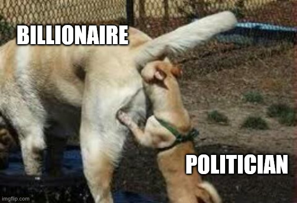 Brown noser | BILLIONAIRE; POLITICIAN | image tagged in brown noser | made w/ Imgflip meme maker