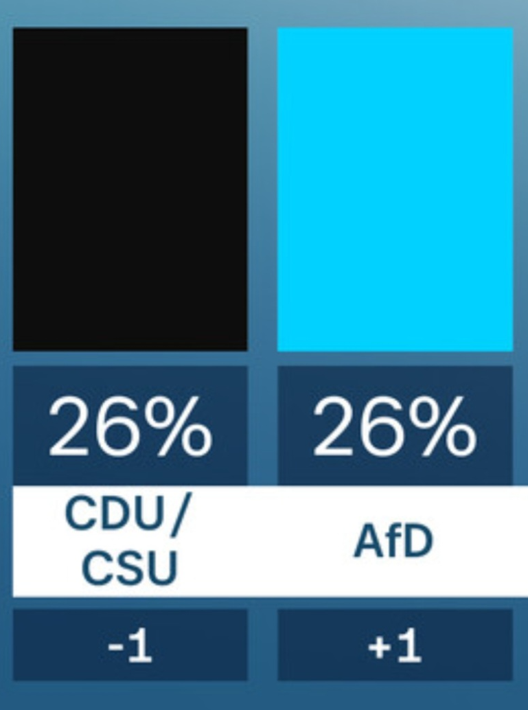 Sonntagsfrage CDU AFD Blank Meme Template