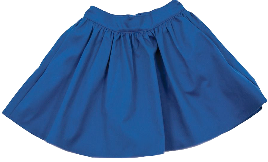 Blue skirt Blank Meme Template