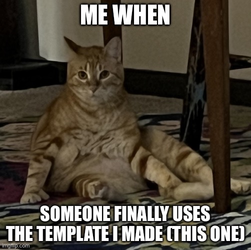 Plz | ME WHEN; SOMEONE FINALLY USES THE TEMPLATE I MADE (THIS ONE) | image tagged in surprised orange cat | made w/ Imgflip meme maker