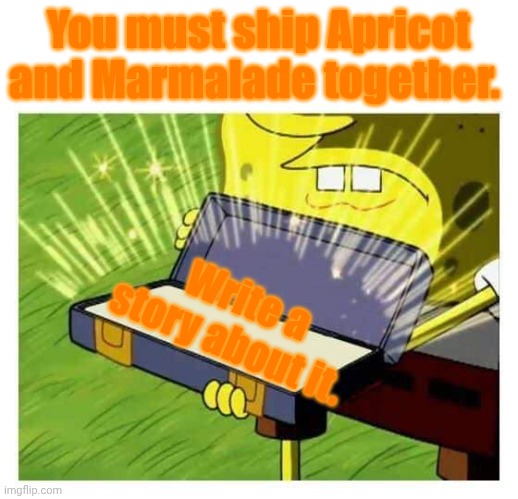 Robin didn't say this. | You must ship Apricot and Marmalade together. Write a story about it. | image tagged in spongebob box | made w/ Imgflip meme maker