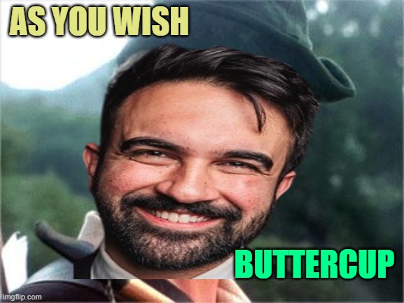 Robin Hood men in tights | AS YOU WISH BUTTERCUP | image tagged in robin hood men in tights | made w/ Imgflip meme maker