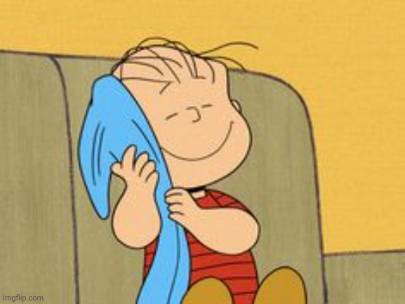 Linus and his Blanket | image tagged in linus and his blanket | made w/ Imgflip meme maker