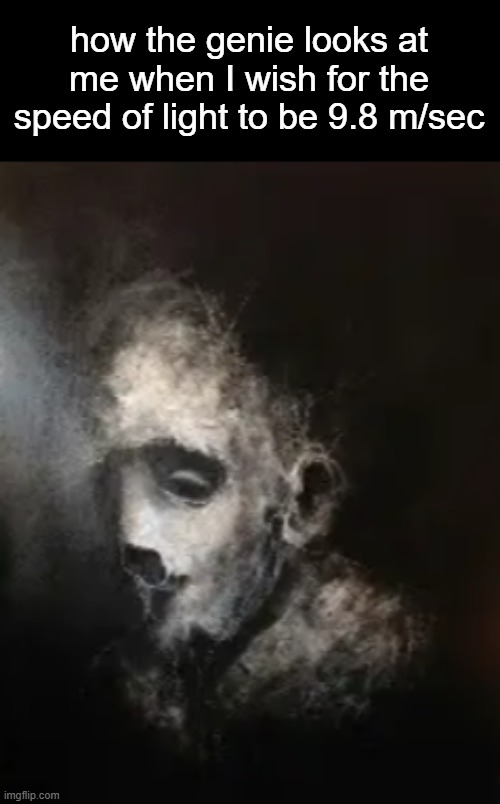 how the genie looks at me when I wish for the speed of light to be 9.8 m/sec | made w/ Imgflip meme maker