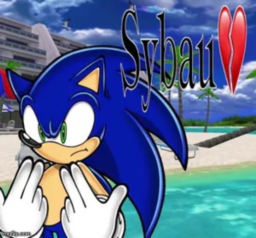 Sonic adventure 1 sybau Blank Meme Template