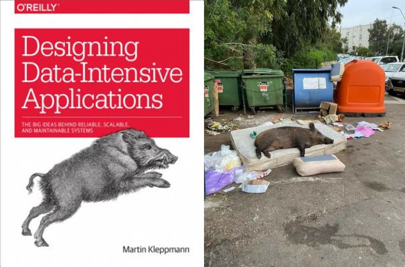 кабанчик Blank Meme Template