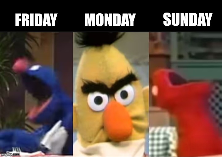 Sesame Street Portraying Days In Life | MONDAY; SUNDAY; FRIDAY | image tagged in memes,sesame street,sesame street - angry bert,life,mood,the daily struggle | made w/ Imgflip meme maker