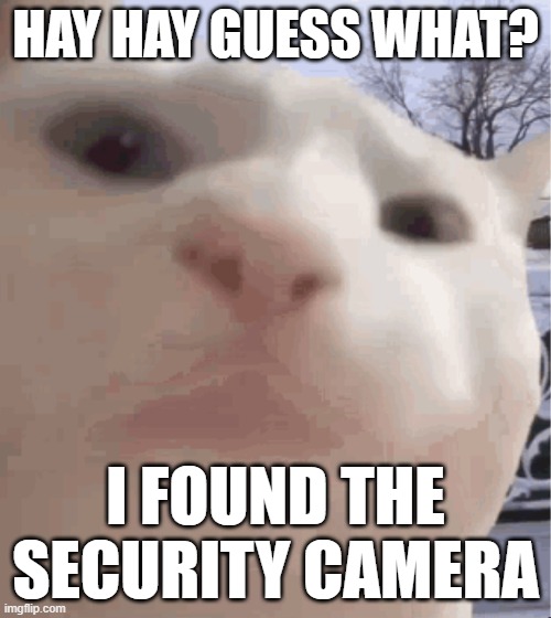 security camera | HAY HAY GUESS WHAT? I FOUND THE SECURITY CAMERA | image tagged in i showed you my | made w/ Imgflip meme maker