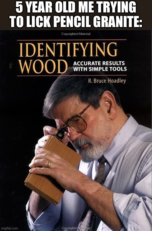 mmm wood | 5 YEAR OLD ME TRYING TO LICK PENCIL GRANITE: | image tagged in pencil,sybau,meme,funny,67,kids | made w/ Imgflip meme maker