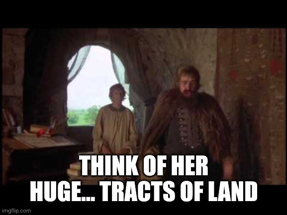 huge tracts of land | THINK OF HER HUGE... TRACTS OF LAND | image tagged in huge tracts of land | made w/ Imgflip meme maker