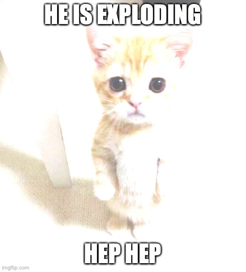 Cat | HE IS EXPLODING; HEP HEP | image tagged in memes,cute cat | made w/ Imgflip meme maker