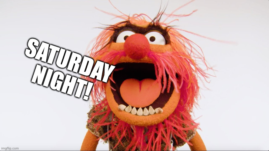 Muppet Animal | SATURDAY
NIGHT! | image tagged in muppet animal | made w/ Imgflip meme maker