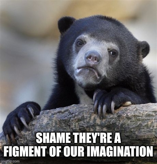 Confession Bear Meme | SHAME THEY'RE A FIGMENT OF OUR IMAGINATION | image tagged in memes,confession bear | made w/ Imgflip meme maker