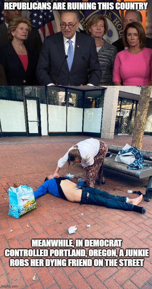 Yep, Ruining the Country | REPUBLICANS ARE RUINING THIS COUNTRY; MEANWHILE, IN DEMOCRAT CONTROLLED PORTLAND, OREGON, A JUNKIE ROBS HER DYING FRIEND ON THE STREET | image tagged in democrat congressmen | made w/ Imgflip meme maker