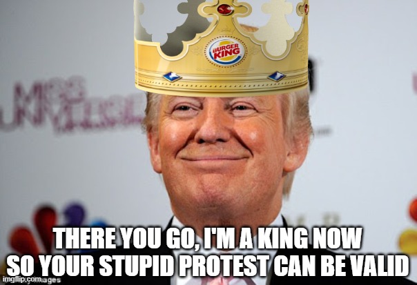 No Kings | THERE YOU GO, I'M A KING NOW SO YOUR STUPID PROTEST CAN BE VALID | image tagged in donald trump approves | made w/ Imgflip meme maker