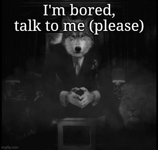 Wolf on a chair | I'm bored, talk to me (please) | image tagged in wolf on a chair | made w/ Imgflip meme maker