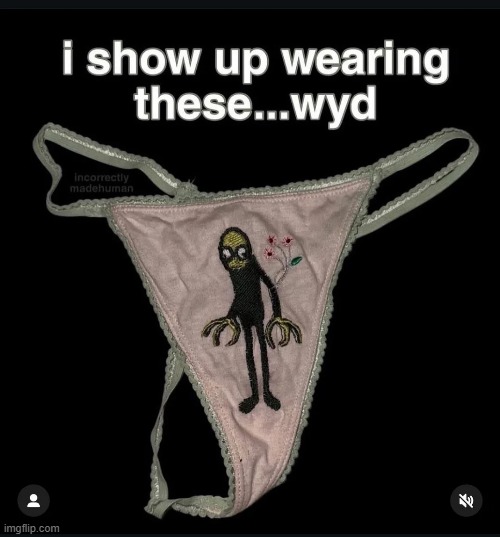 Strange Panties | image tagged in sex jokes | made w/ Imgflip meme maker