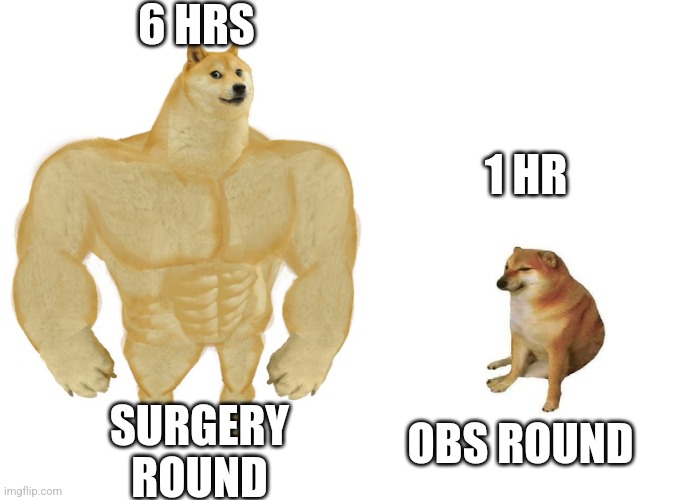 Big dog small dog | 6 HRS; 1 HR; OBS ROUND; SURGERY ROUND | image tagged in big dog small dog | made w/ Imgflip meme maker