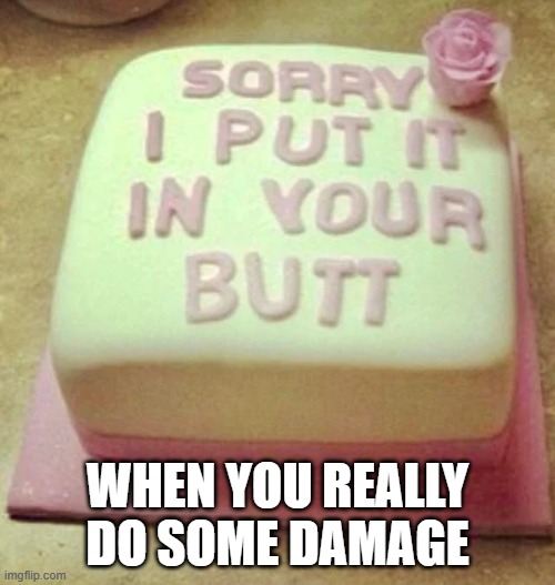 I'm Sorry | WHEN YOU REALLY DO SOME DAMAGE | image tagged in sex jokes | made w/ Imgflip meme maker
