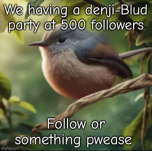 No balls | We having a denji-Blud party at 500 followers; Follow or something pwease | image tagged in no balls | made w/ Imgflip meme maker