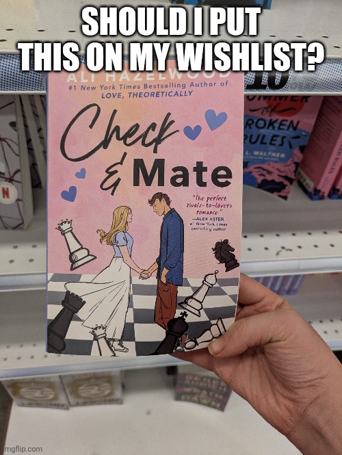 An interesting book I saw at five below | SHOULD I PUT THIS ON MY WISHLIST? | image tagged in checkmate,romance novels,chess puns,rivals to lovers | made w/ Imgflip meme maker