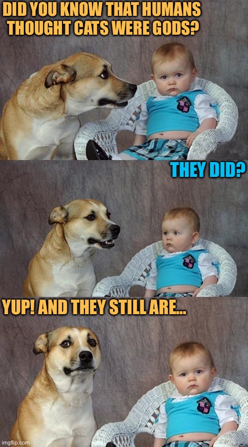 Dad joke dad - cats are gods | DID YOU KNOW THAT HUMANS 
THOUGHT CATS WERE GODS? THEY DID? YUP! AND THEY STILL ARE… | image tagged in memes,dad joke dog,cats,fun,dogs,baby | made w/ Imgflip meme maker