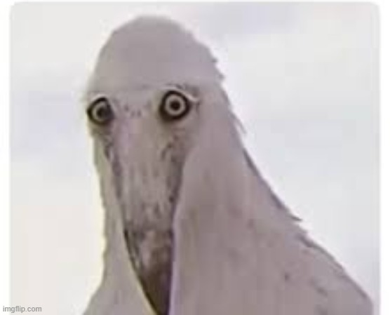 the creature :> | made w/ Imgflip meme maker