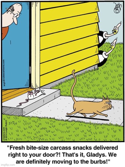 Rubes | image tagged in cats,rubes,comics,doorstep delivery,vultures | made w/ Imgflip meme maker