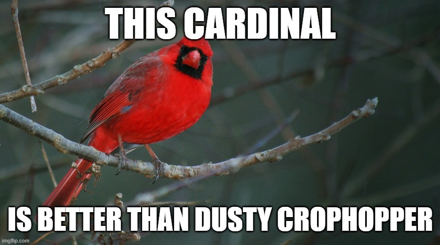 Cardinal bird | THIS CARDINAL; IS BETTER THAN DUSTY CROPHOPPER | image tagged in cardinal bird | made w/ Imgflip meme maker