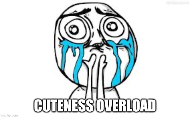 Cutie | CUTENESS OVERLOAD | image tagged in memes,crying because of cute | made w/ Imgflip meme maker