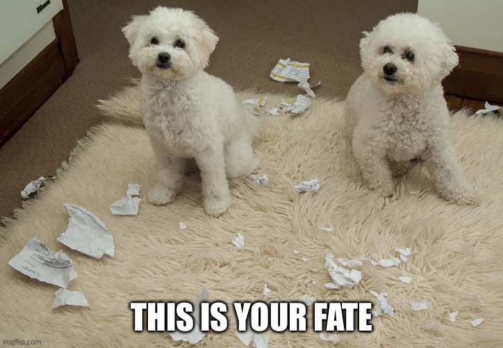 Dog Ate Homework | THIS IS YOUR FATE | image tagged in dog ate homework | made w/ Imgflip meme maker