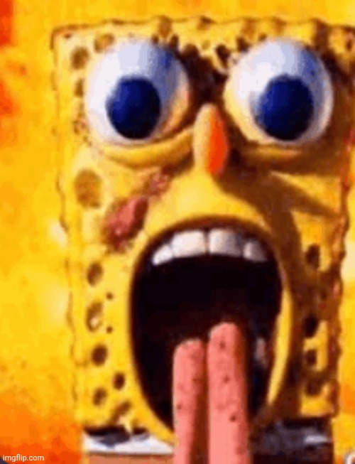 What's even happening to Bob? | image tagged in from behind | made w/ Imgflip meme maker