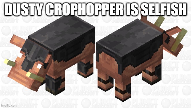 Hoglins Wearing Netherite Armor | DUSTY CROPHOPPER IS SELFISH | image tagged in hoglins wearing netherite armor | made w/ Imgflip meme maker