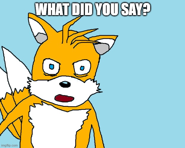 WHAT DID YOU SAY? | image tagged in tails gets trolled template original meme | made w/ Imgflip meme maker