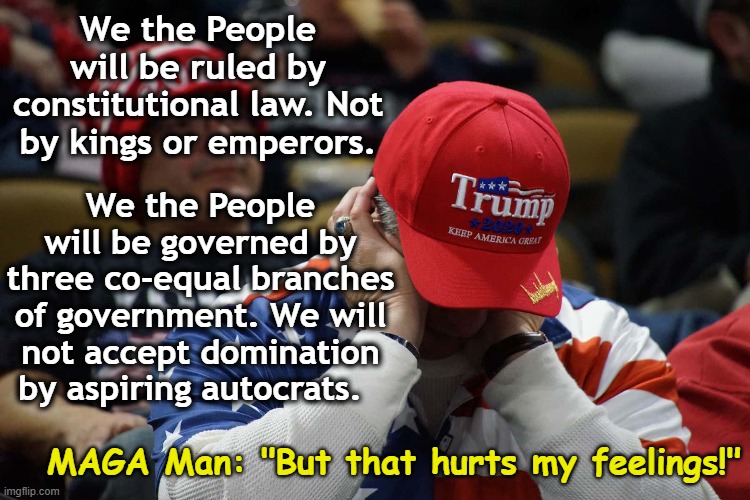 MAGA Men Vs. Constitution | We the People will be ruled by constitutional law. Not by kings or emperors. We the People will be governed by three co-equal branches of government. We will not accept domination by aspiring autocrats. MAGA Man: "But that hurts my feelings!" | image tagged in maga,basket of deplorables,nevertrump,donald trump memes,trump is a moron,not my president | made w/ Imgflip meme maker