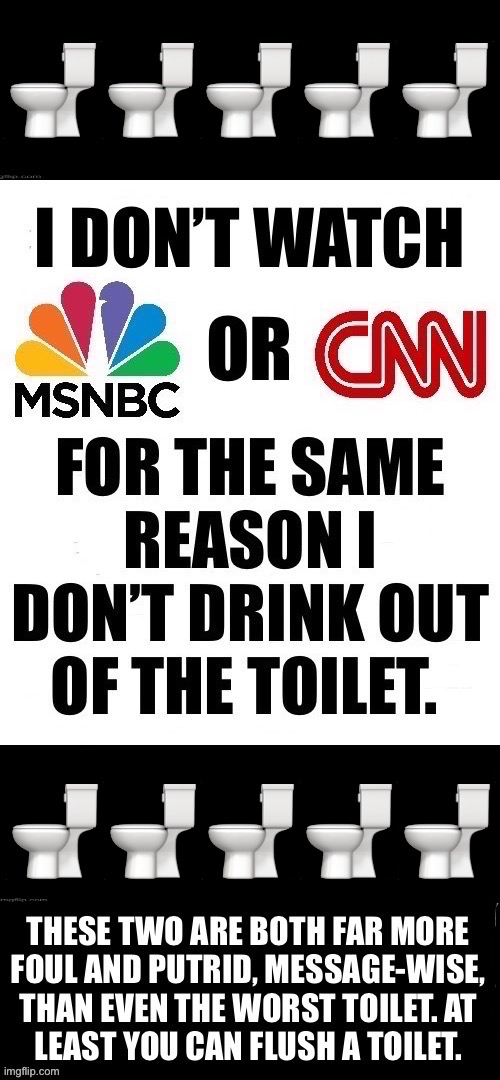 MSNBC is the worst of them all… | 🚽🚽🚽🚽🚽; 🚽🚽🚽🚽🚽 | image tagged in political meme,msnbc,cnn,left wing media,propaganda,toilet | made w/ Imgflip meme maker
