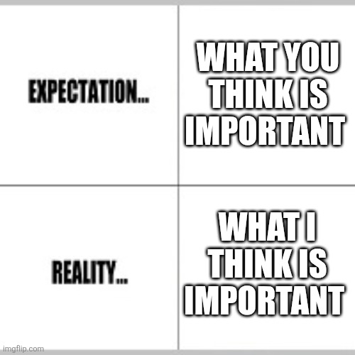 Expectation vs Reality | WHAT YOU THINK IS IMPORTANT WHAT I THINK IS IMPORTANT | image tagged in expectation vs reality | made w/ Imgflip meme maker