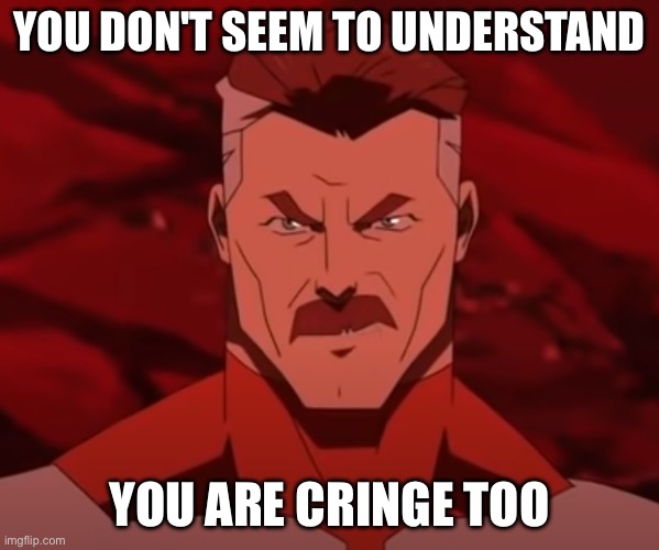 You Don't Seem to Understand | YOU DON'T SEEM TO UNDERSTAND YOU ARE CRINGE TOO | image tagged in you don't seem to understand | made w/ Imgflip meme maker