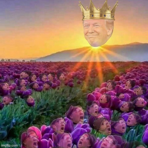 Happy No Kings day! | image tagged in memes,funny,politics,trump,political meme | made w/ Imgflip meme maker