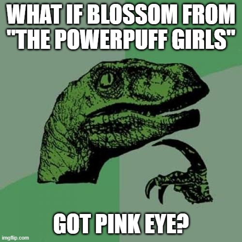 I hope you get the joke. | WHAT IF BLOSSOM FROM "THE POWERPUFF GIRLS"; GOT PINK EYE? | image tagged in memes,philosoraptor,powerpuff girls,pink eye,cartoon network,so yeah | made w/ Imgflip meme maker