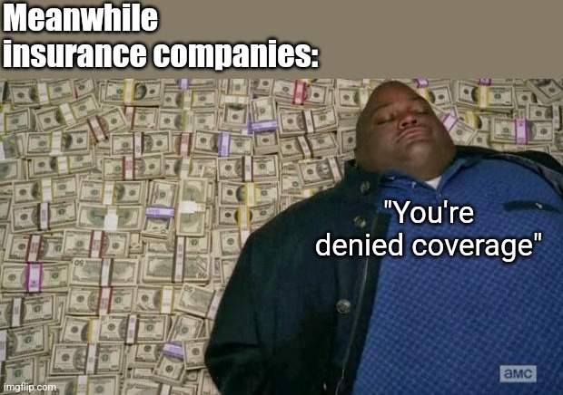 huell money | Meanwhile insurance companies: "You're denied coverage" | image tagged in huell money | made w/ Imgflip meme maker